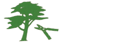 Logo Marie Rodolphe