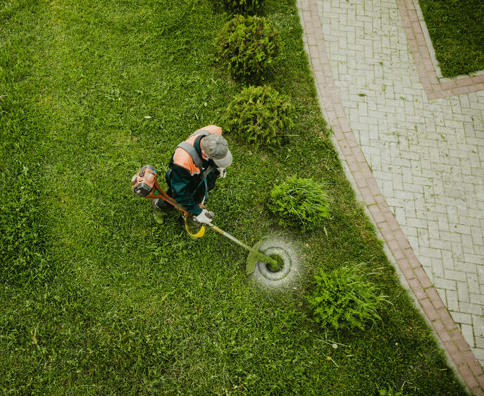 Entretien jardin