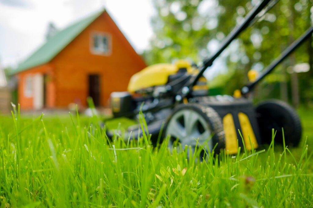 Entretien jardin par un professionnel